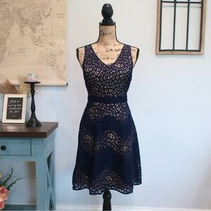 Navy Blue Dress | Lace Dress | The Limited
